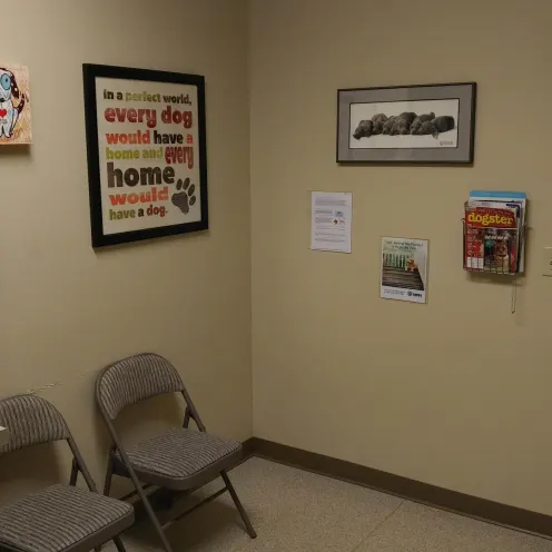 A room for patients with chairs and posters on the wall 